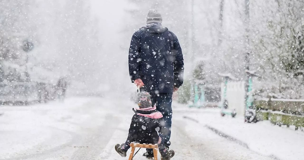 Winterwetter in Deutschland: Neue Schneeschauer erwartet