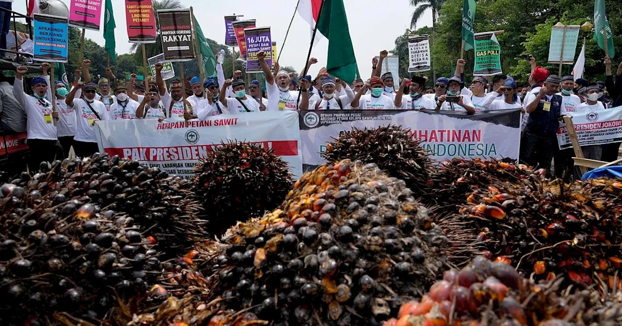 WTO gibt EU in Palmöl-Streit Recht