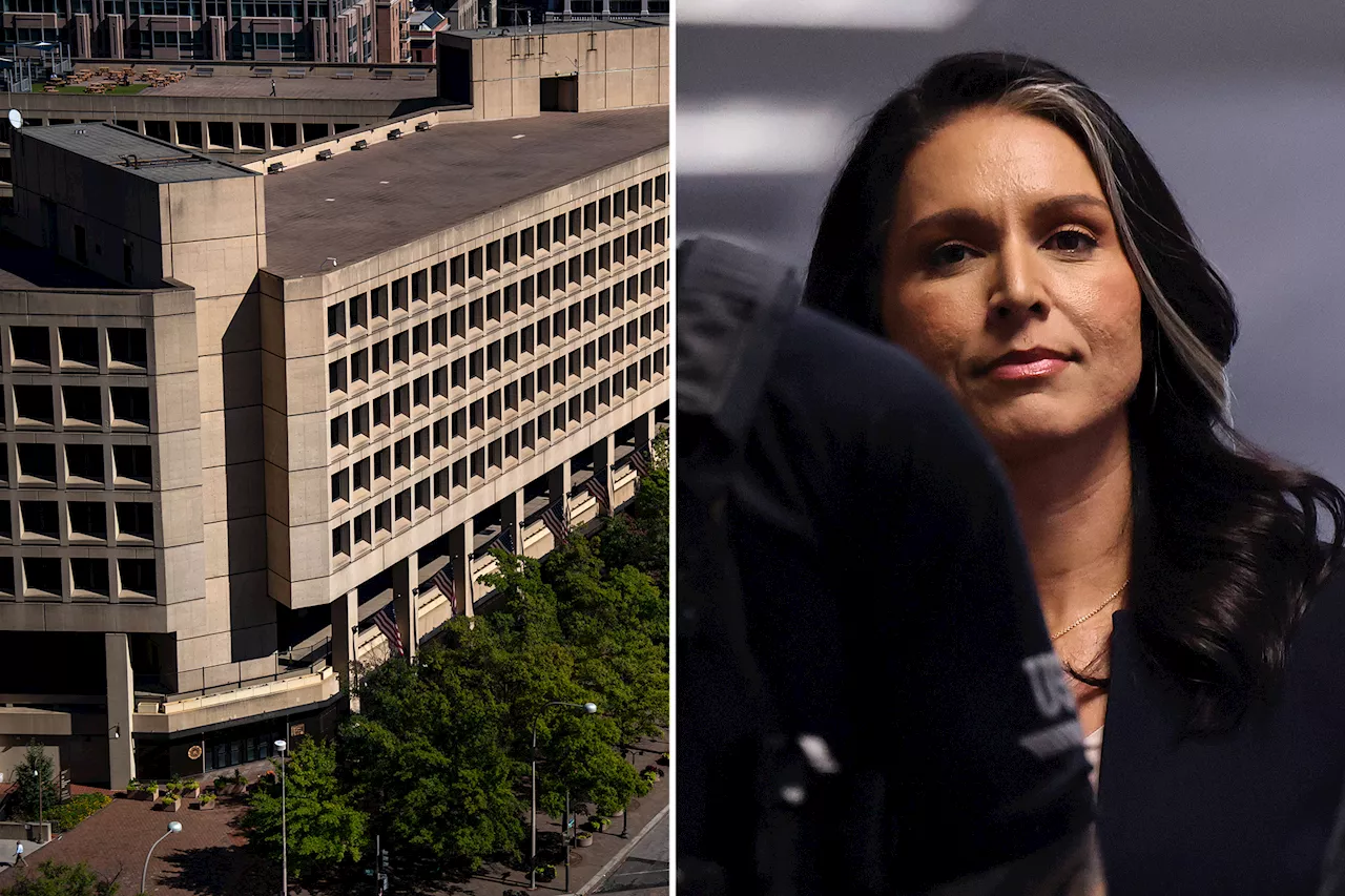 Gabbard Defends Controversial Spy Power She Once Opposed