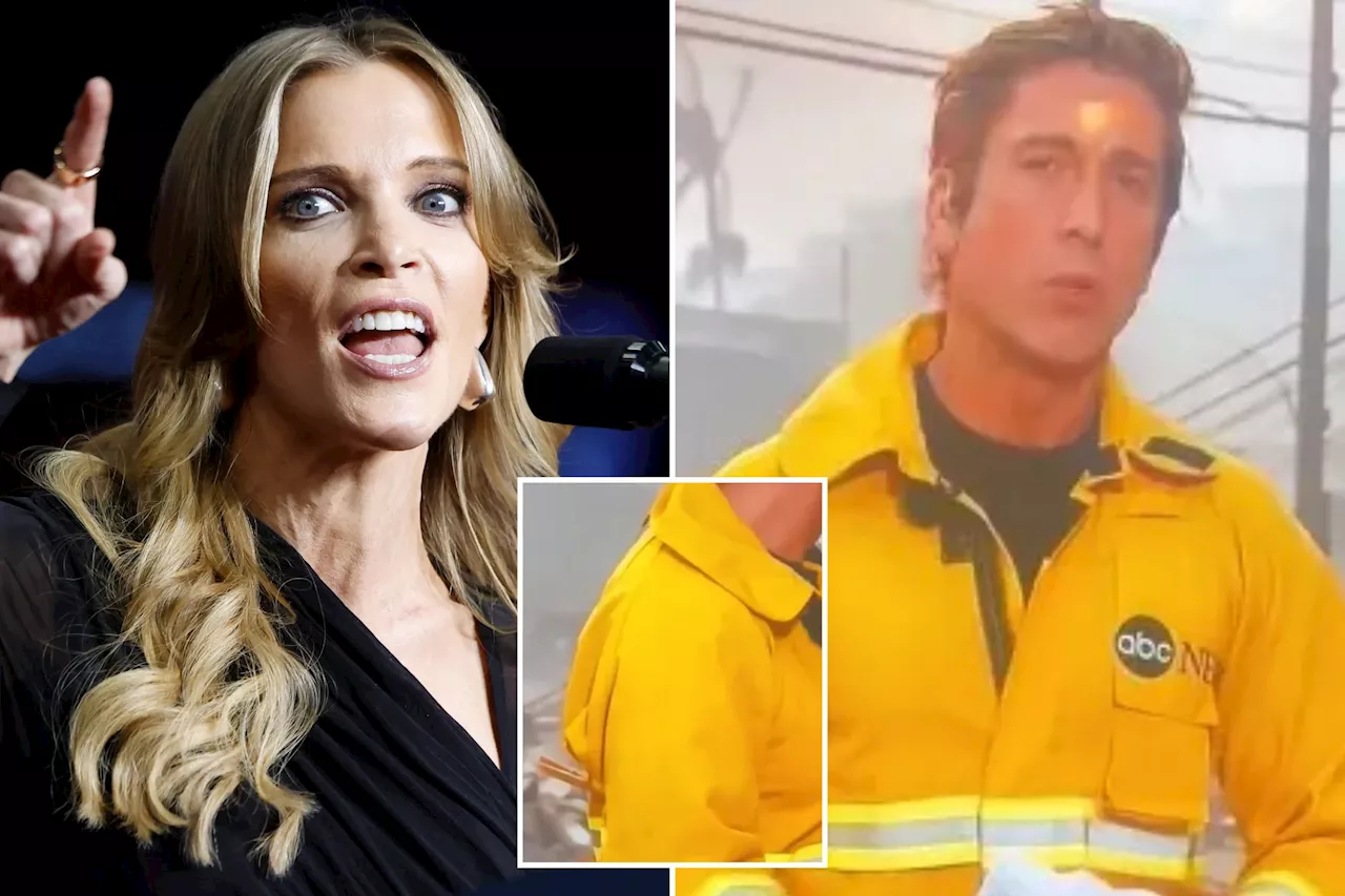 Megyn Kelly slams ABC News' David Muir for 'playing dress up' while covering LA fires: 'The abject vanity of this man'