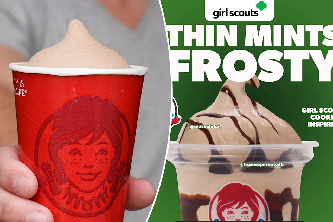 Wendy's, Girl Scouts' Thin Mint Frosty rumor picks up steam — and fans freak out: 'Can’t wait for this!'