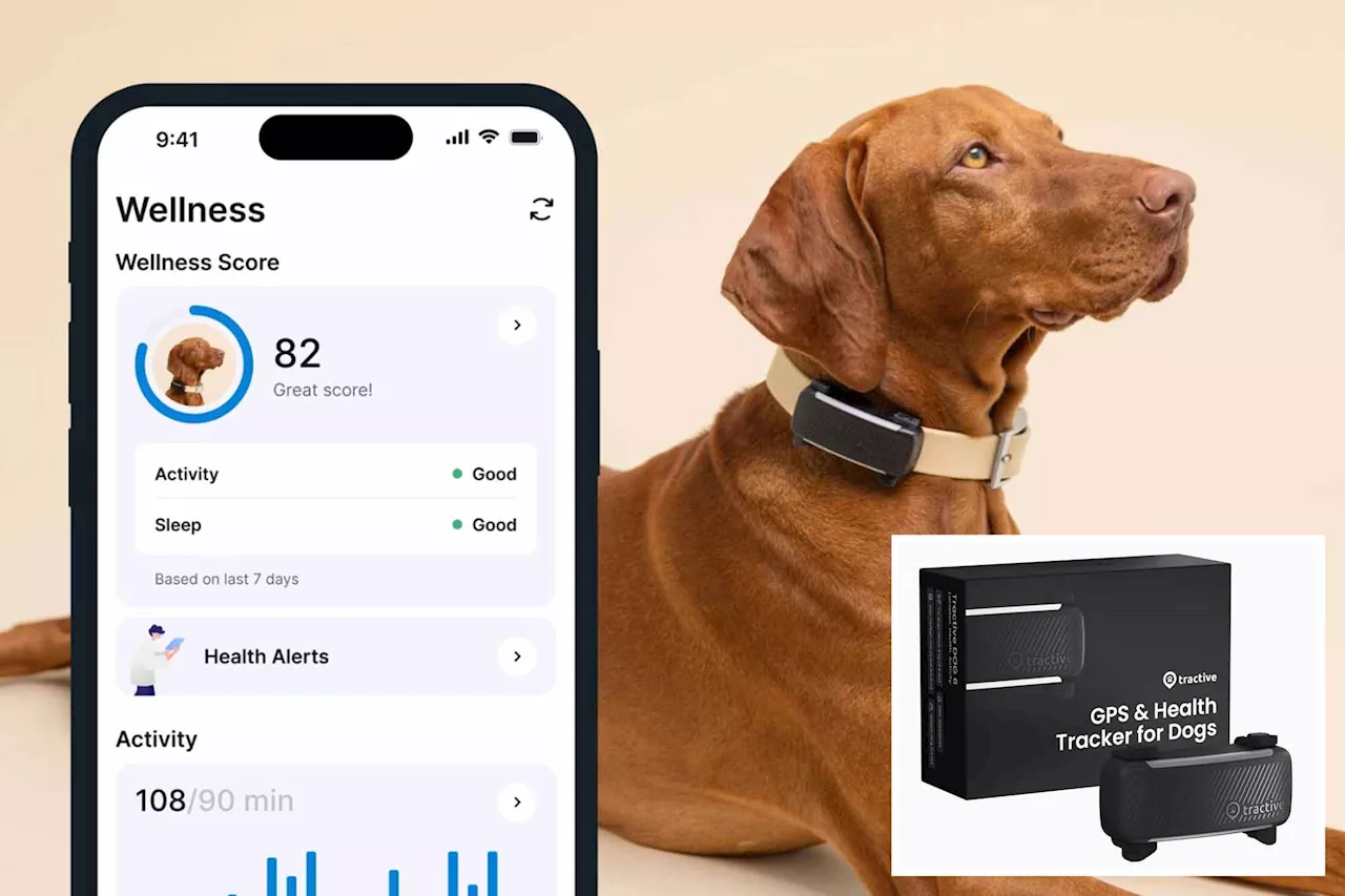 Why is your dog barking? New gadget at CES 2025 can finally tell you