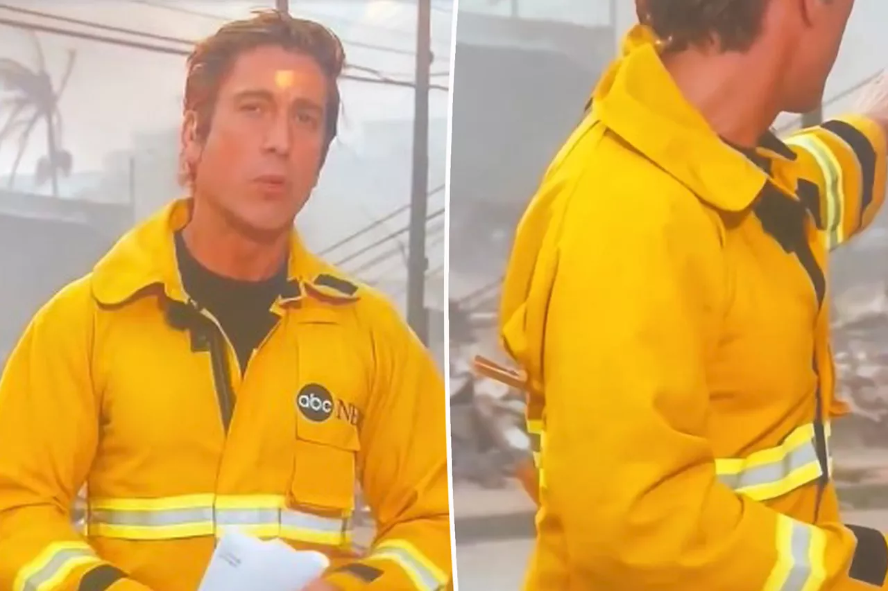 ABC Anchor David Muir Criticized for Using Clothespins to Tighten Jacket During Wildfire Coverage