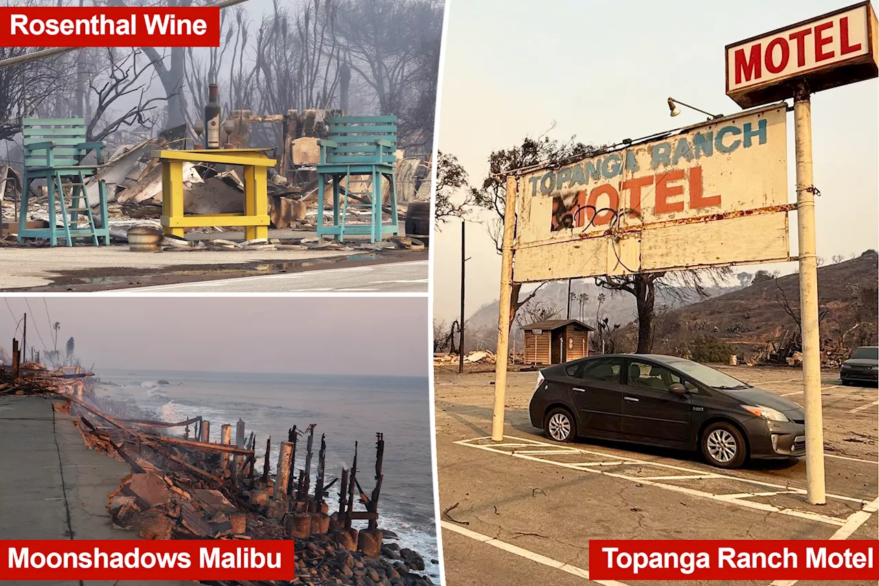 Iconic Malibu Businesses Destroyed in Palisades Fire