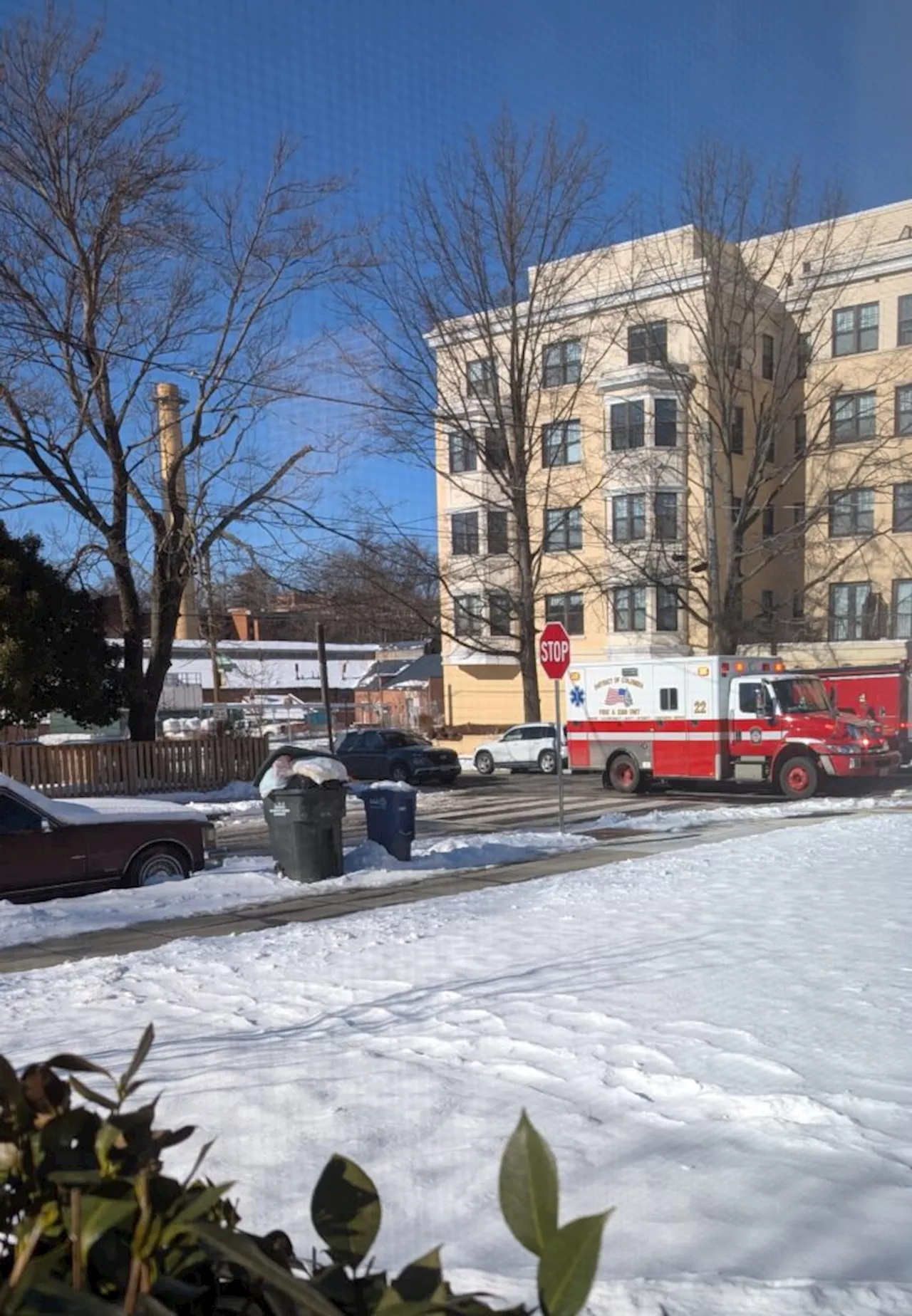 Ambulance Stranded in Ice on DC Street Sparks Outrage Over Delayed Snow Removal