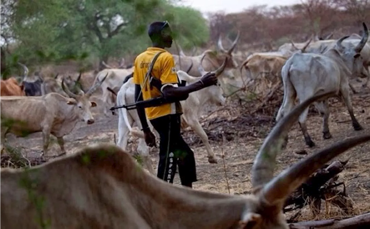 BREAKING: 10 killed in Jigawa farmers-herders clash