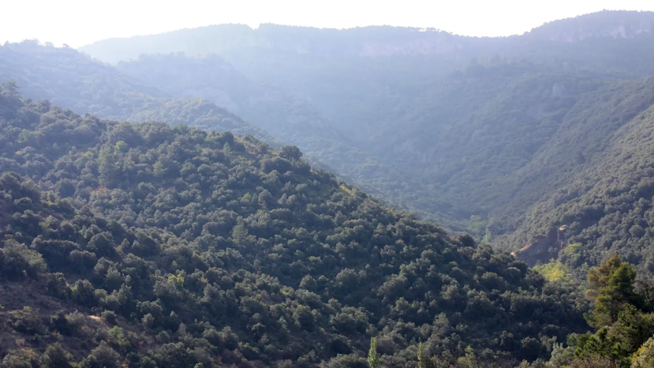 El Parc Natural de les Muntanyes de Prades, punt de partida per controlar les massificacions i regular macroprojectes de renovables