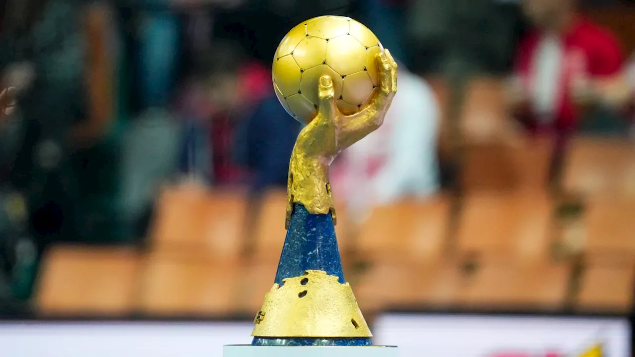 Handball: la France candidate à l'organisation des Mondiaux 2029 ou 2031 avec l'Allemagne