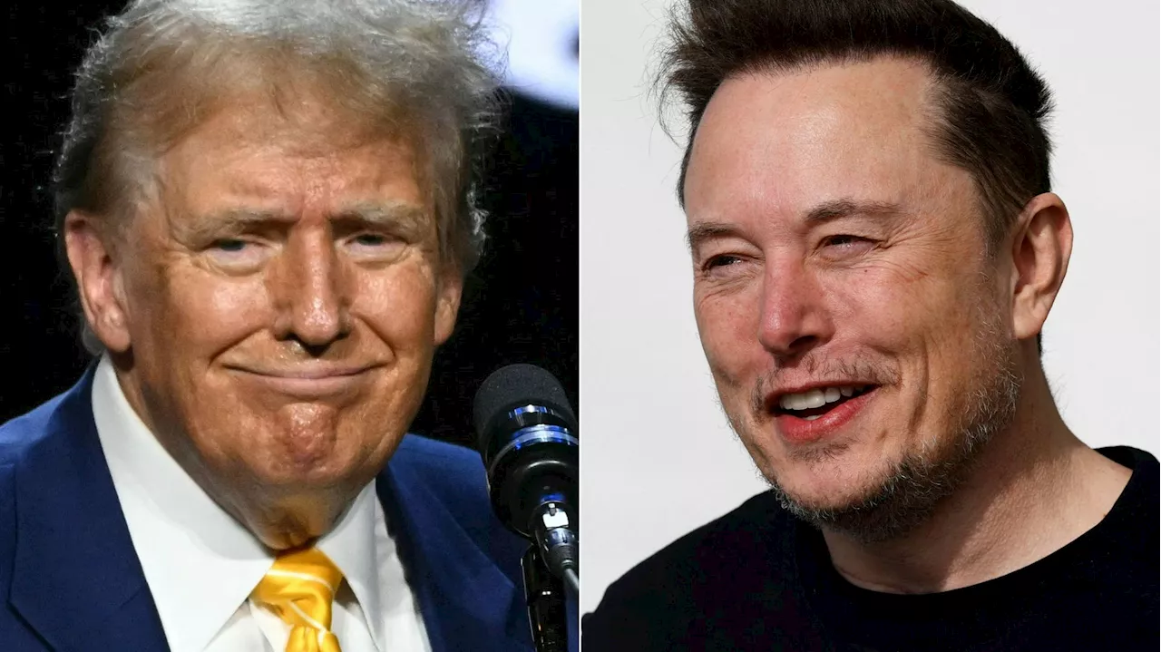 – L’Union européenne tétanisée face au duo Trump & Musk, la position de l'autruche Coué ?