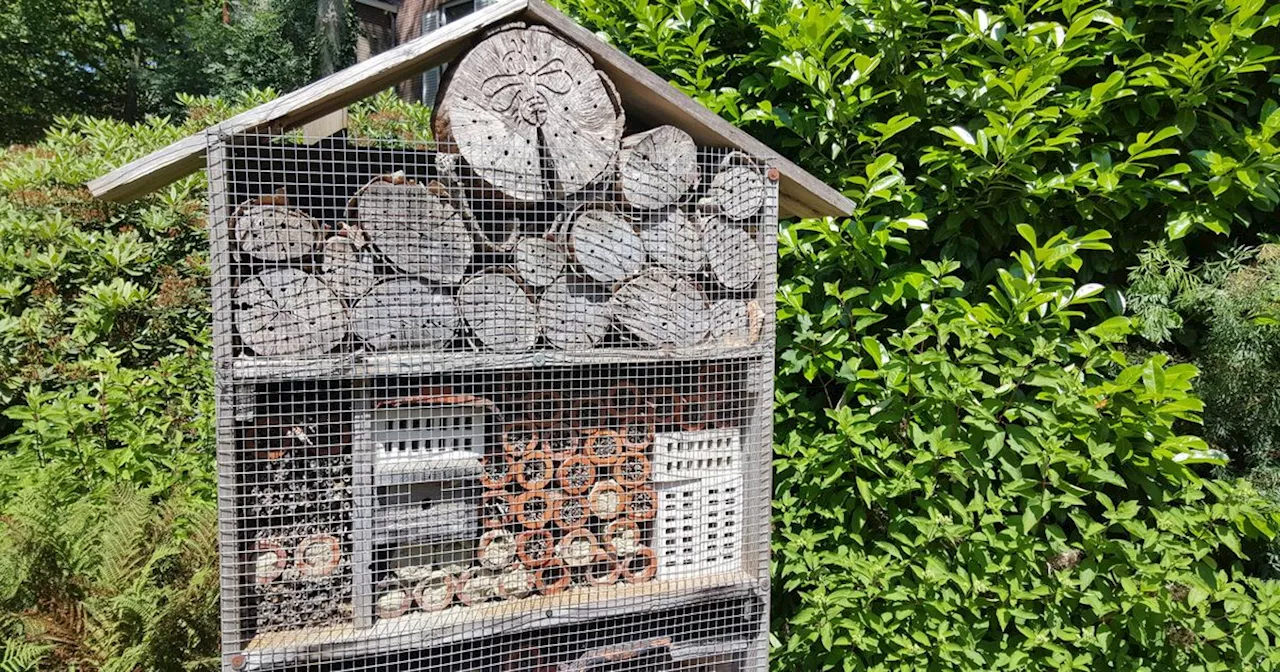 Drenten kunnen met subsidie leefomgeving vergroenen