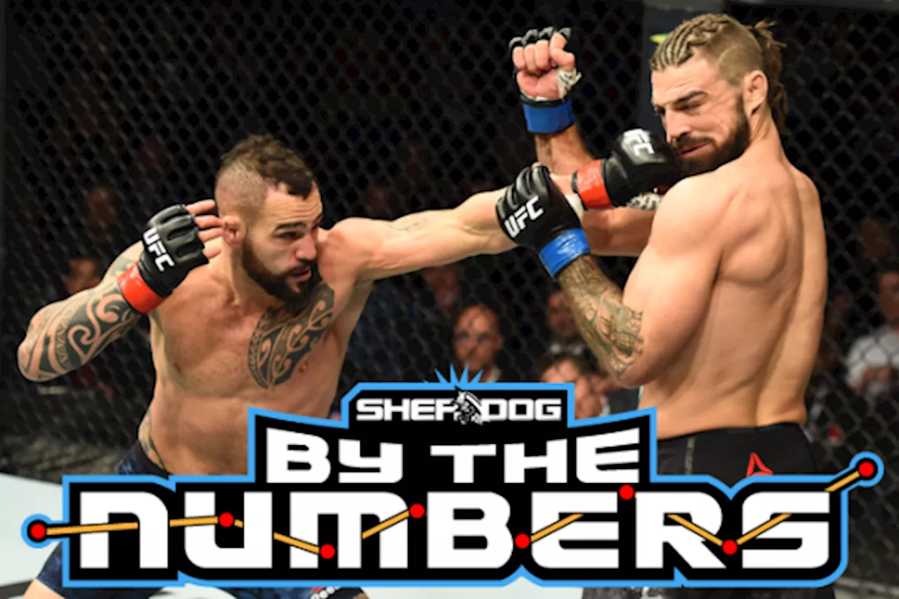 Ponzinibbio vs. Harris: A Look at the Numbers