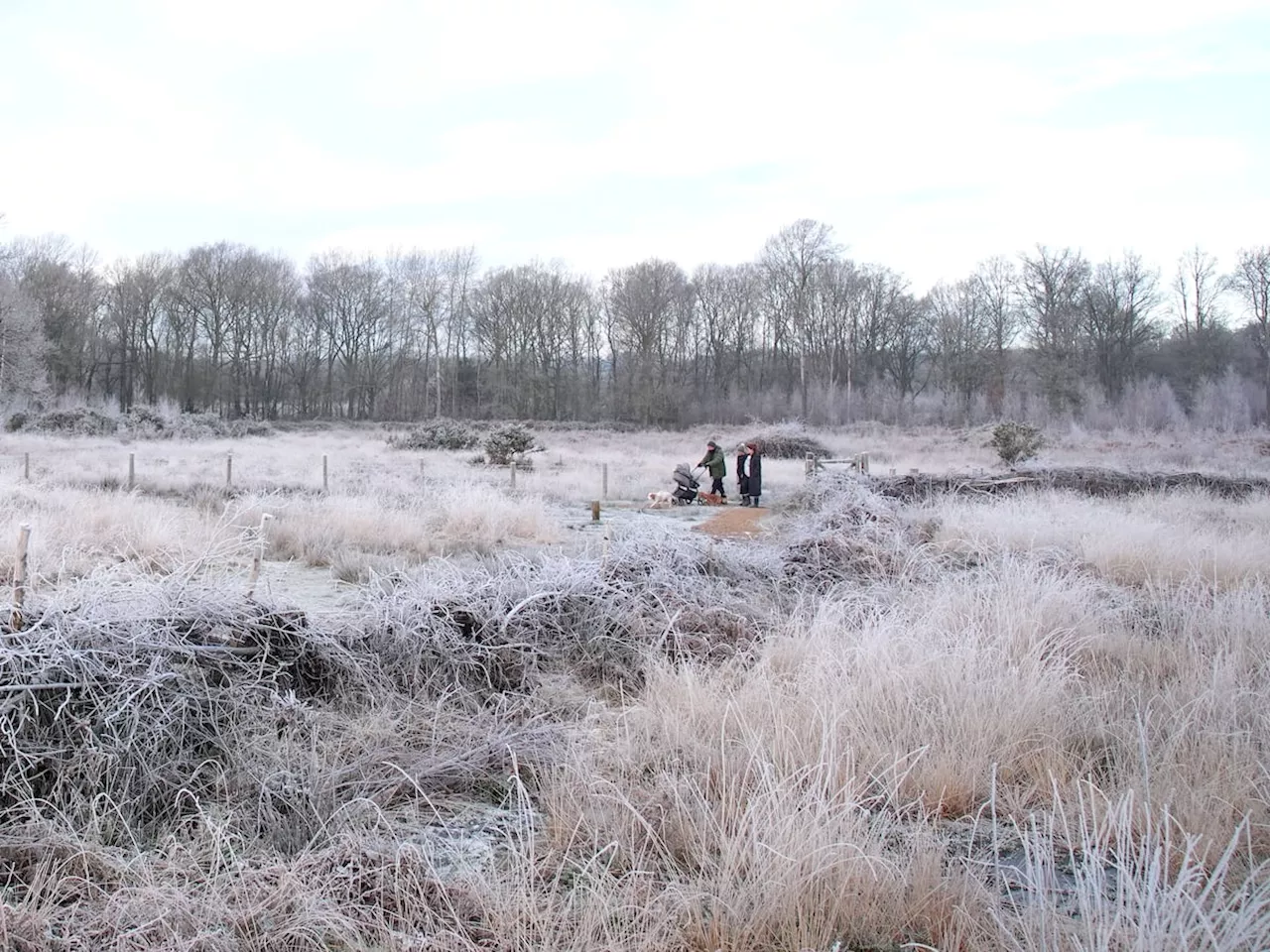 UK sees coldest January night in 15 years as 'cold snap' continues