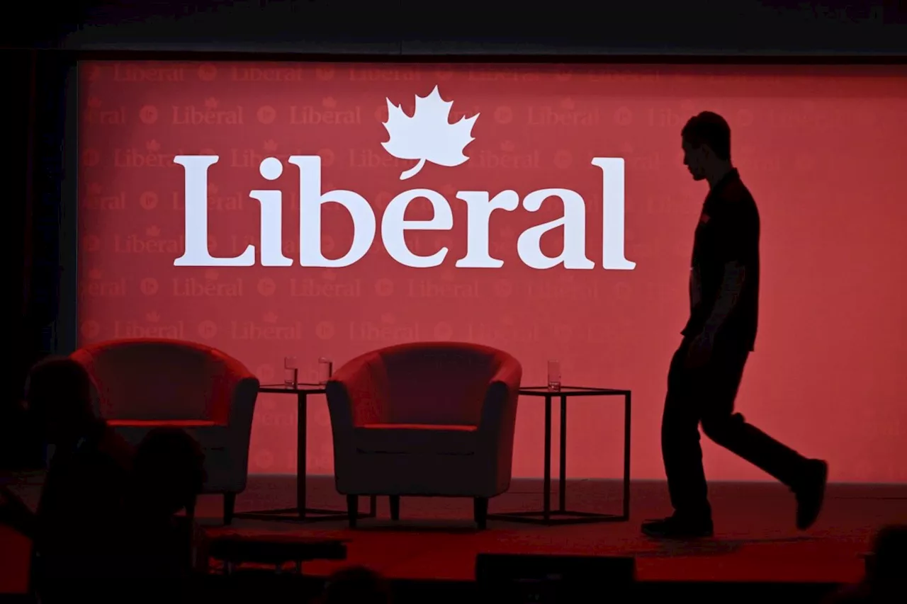 Liberal leadership race: A look at the potential candidates