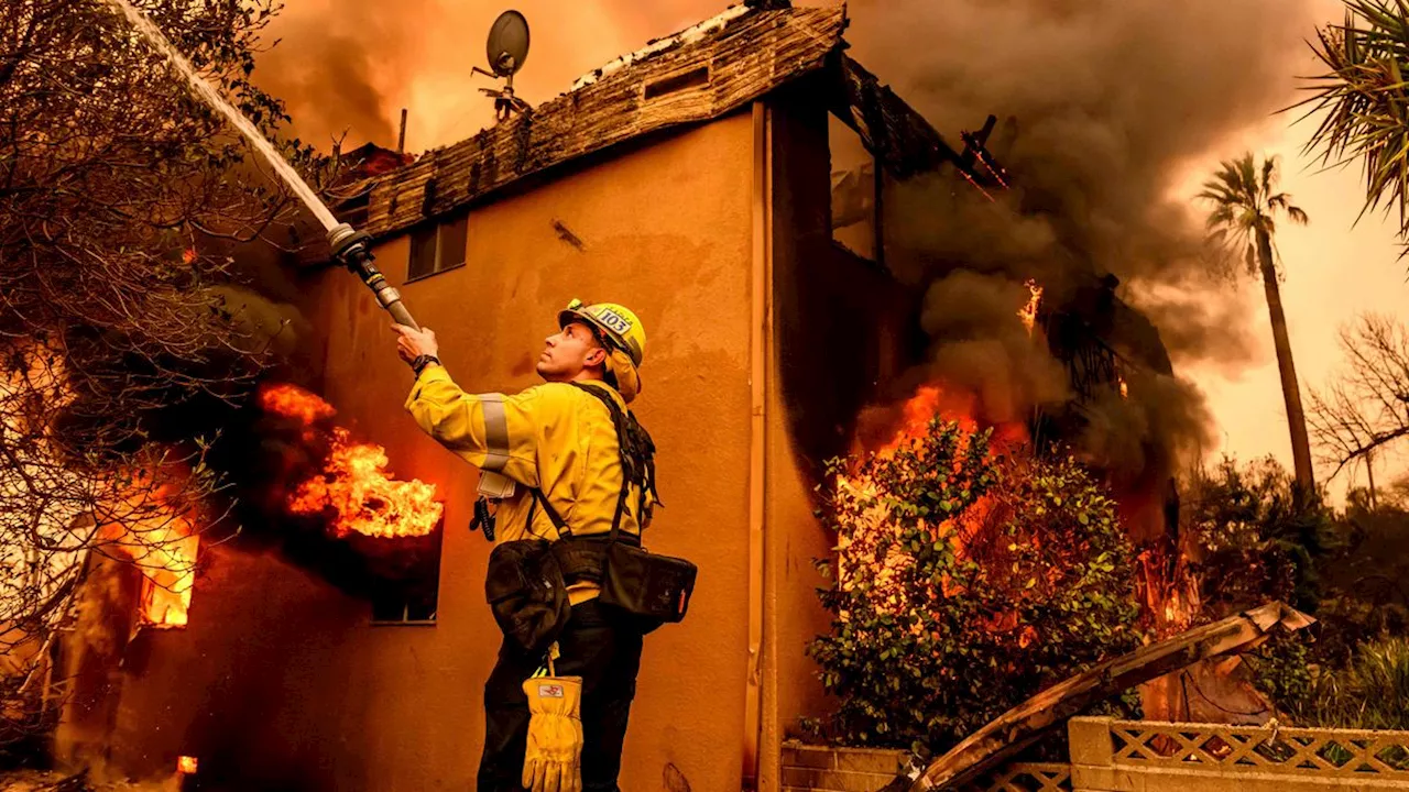 Feuerkatastrophe in Kalifornien: Hunderte Strafgefangene im Einsatz gegen Waldbrände in Los Angeles