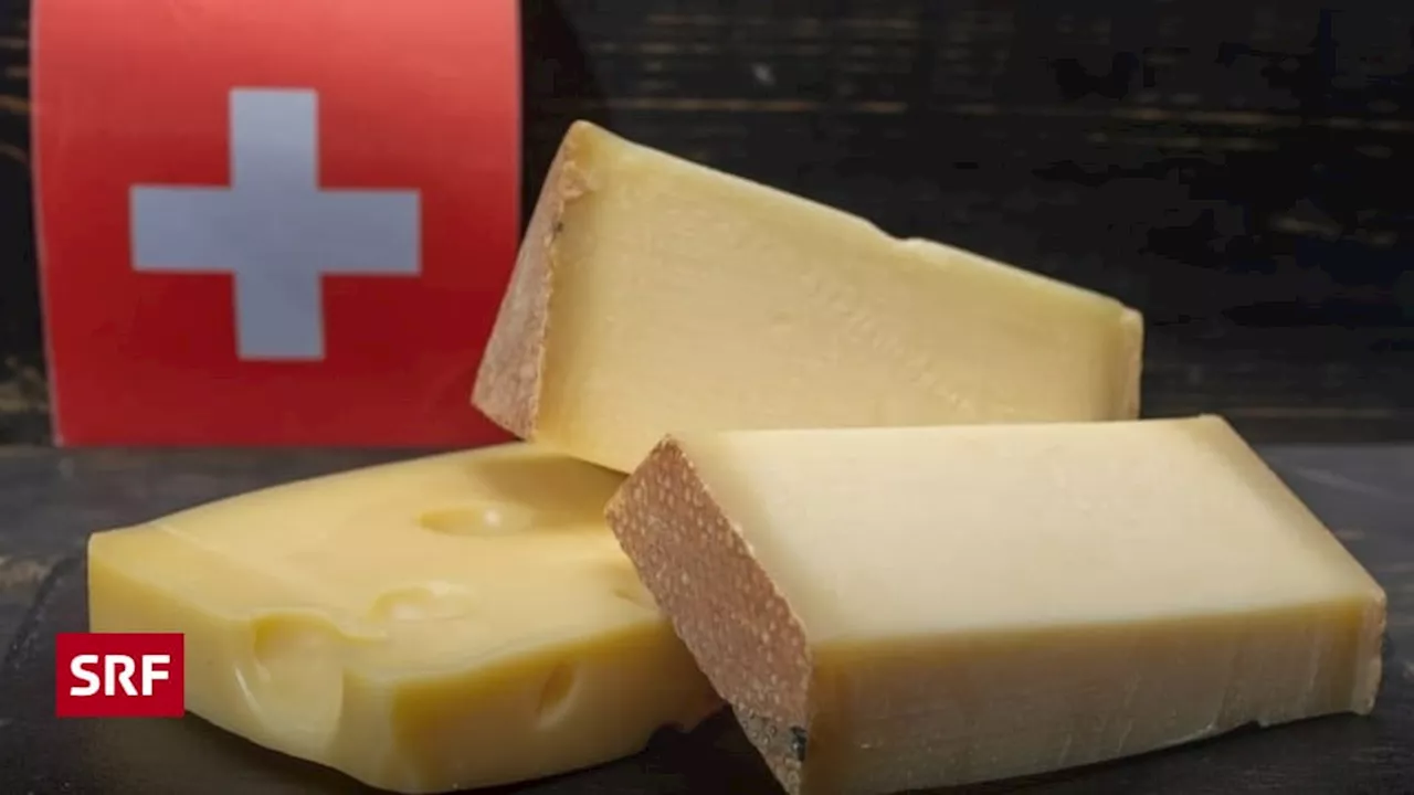 Schweizer Käse: Warum Bakterien den Unterschied machen