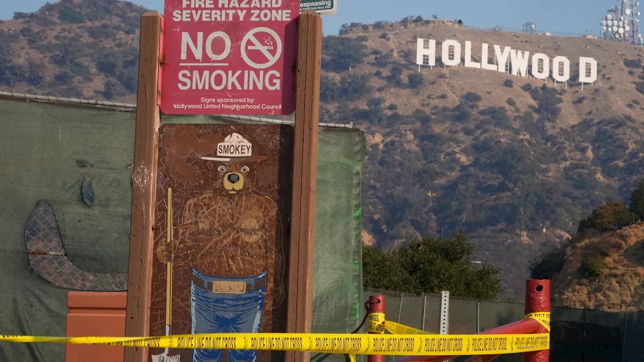 Feuerkatastrophe Los Angeles: So ist die Filmbranche in Hollywood vom Feuer betroffen