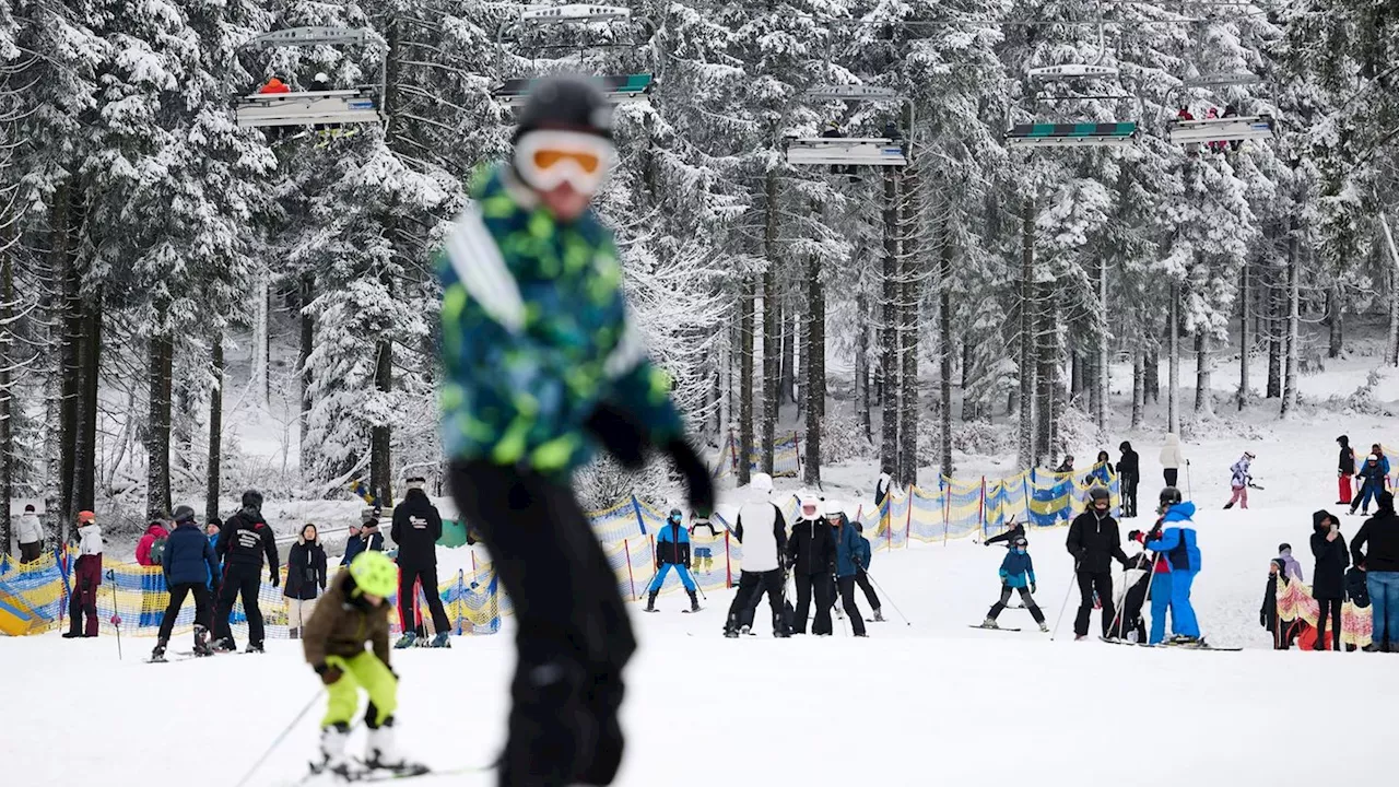 Freizeit-Wintersport: Schnee und Kälte: Gute Aussichten für Ski- und Rodelfans