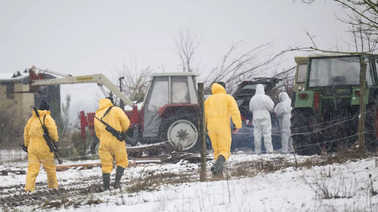 Tierseuche: Maul- und Klauenseuche ausgebrochen - Krisenstäbe im Einsatz