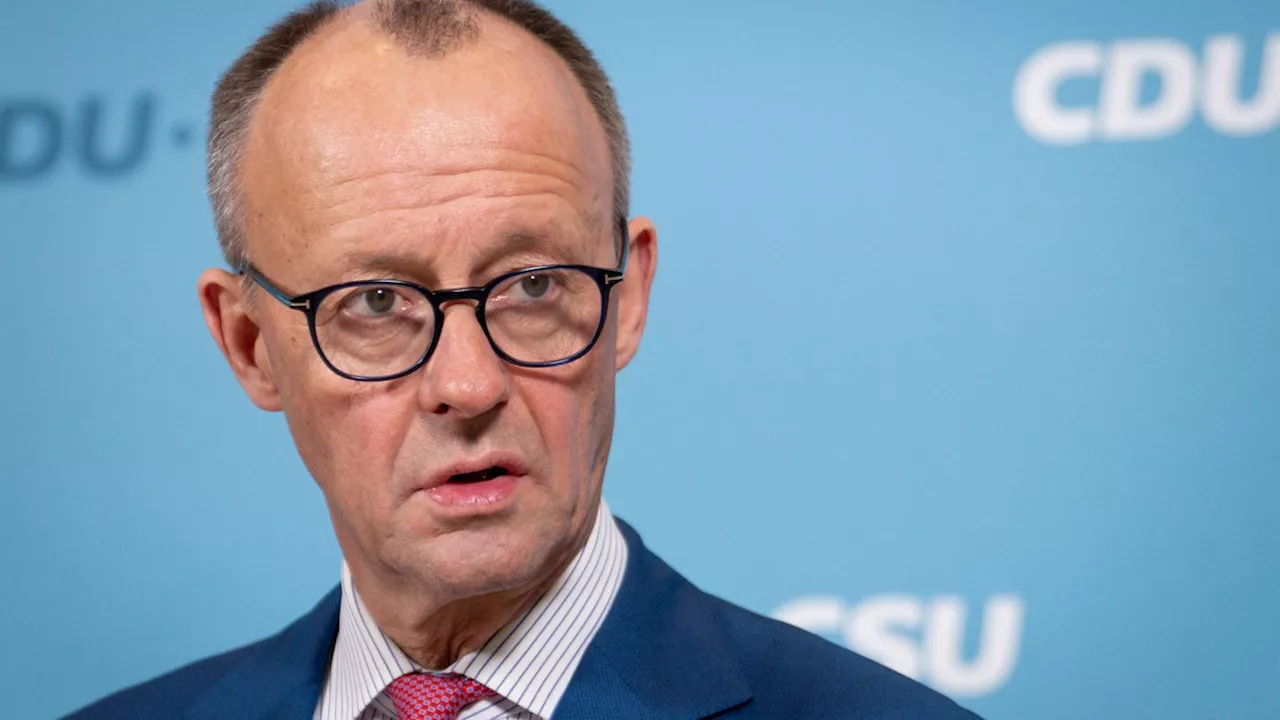 Wie Friedrich Merz die deutsche Wirtschaft retten will