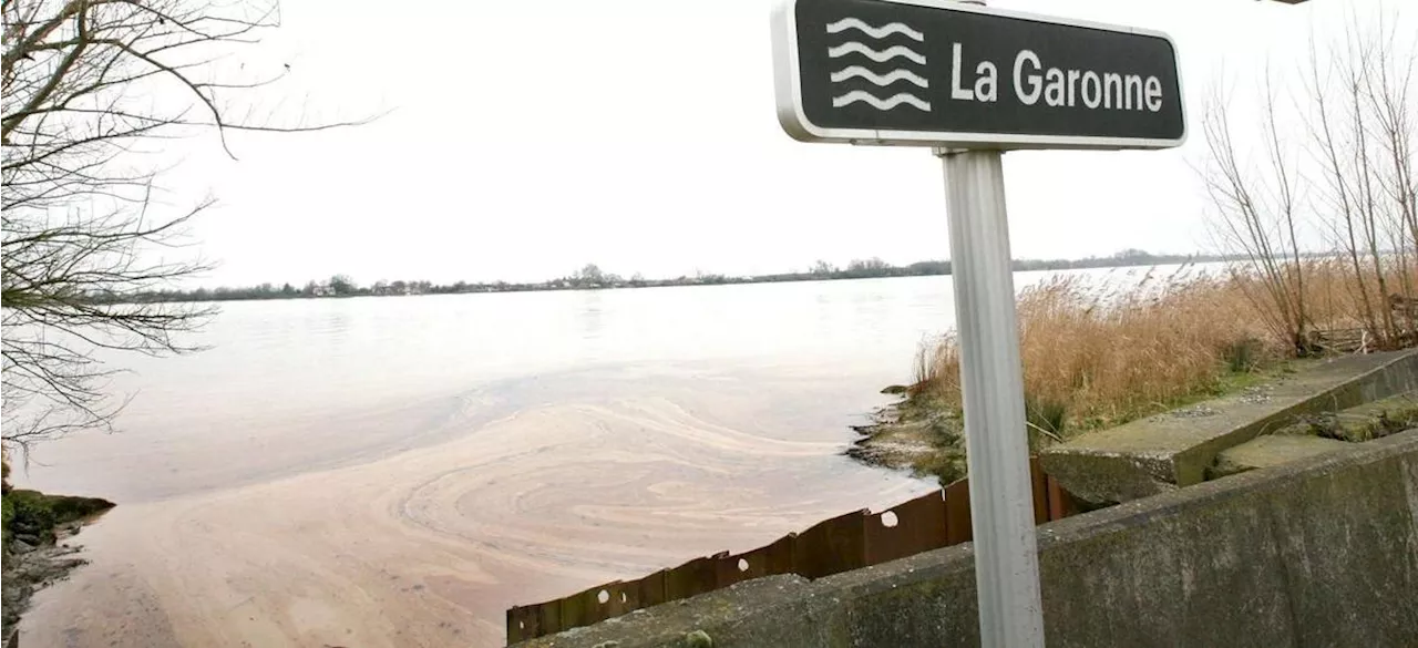 En 2007, pollution au pétrole brut au Bec d’Ambès : un long combat judiciaire en Gironde