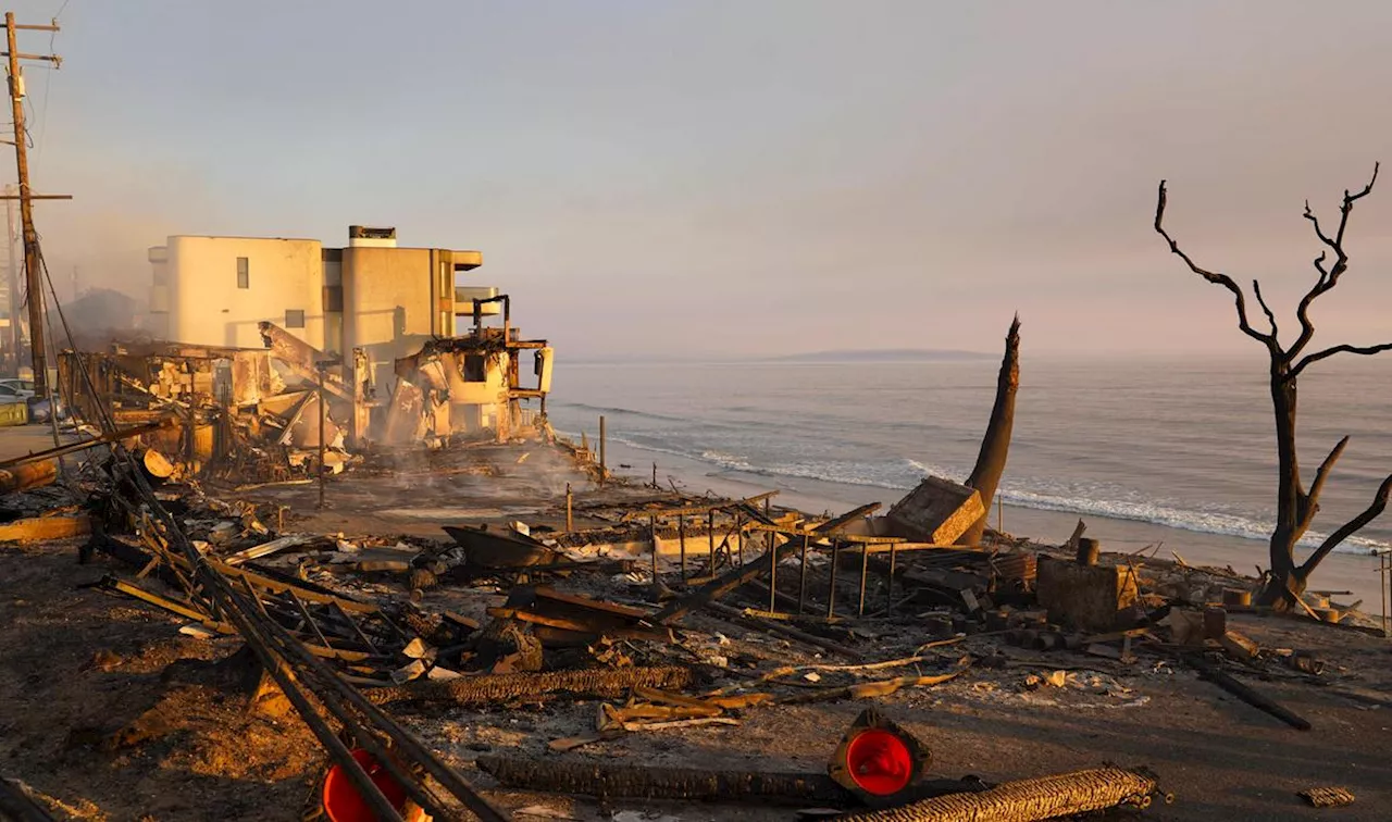 Incendies à Los Angeles, réchauffement climatique, sentence de Trump, Gisèle Pelicot... : les infos de ce vendredi matin