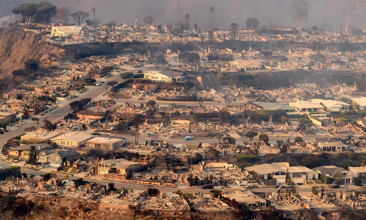 Incendies de Los Angeles : pourquoi les Américains continuent-ils de construire des maisons en bois ?