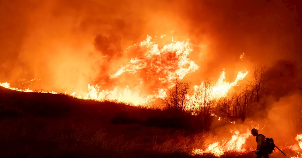 Investigators Probe Causes of Devastating Los Angeles Fires