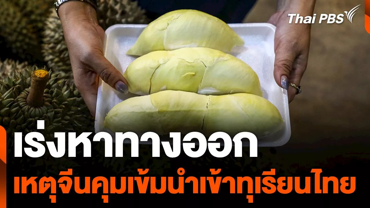 เร่งหาทางออกหลังจีนคุมเข้มนำเข้า 'ทุเรียนไทย' | Thai PBS รายการไทยพีบีเอส