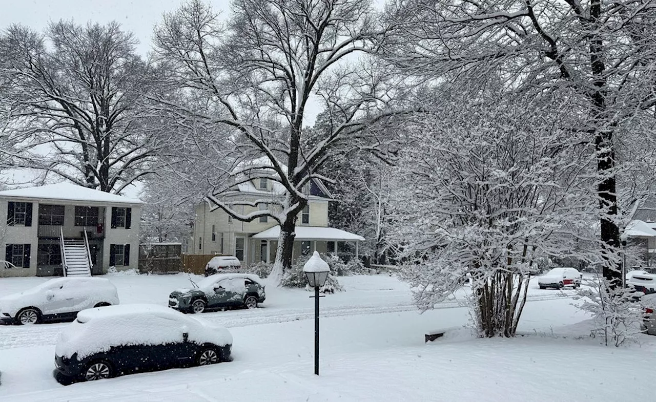 Winter Storm Batters Southern US, Shuttering Schools and Causing Travel Chaos