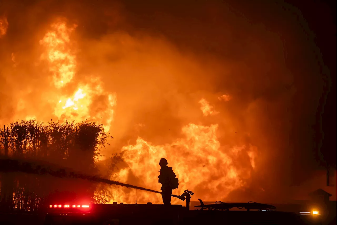 “Weather Whiplash” Fueled by Climate Change Produced Catastrophic Fires in LA