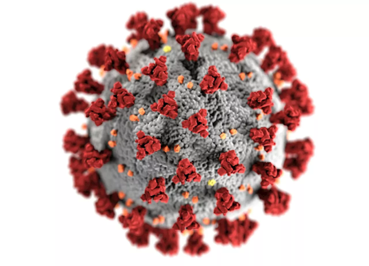 Metapneumovirus Humano (HMPV): Todo lo que necesitas saber