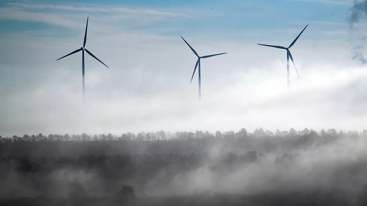 2024: In NRW gibt es so viele neue Windräder wie in keinem anderen Land