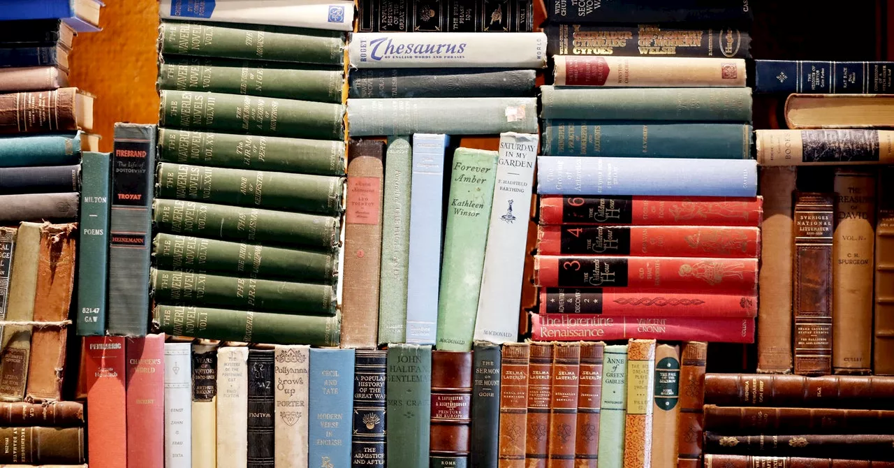 Harvard Launches Massive Public Domain Database for AI Training