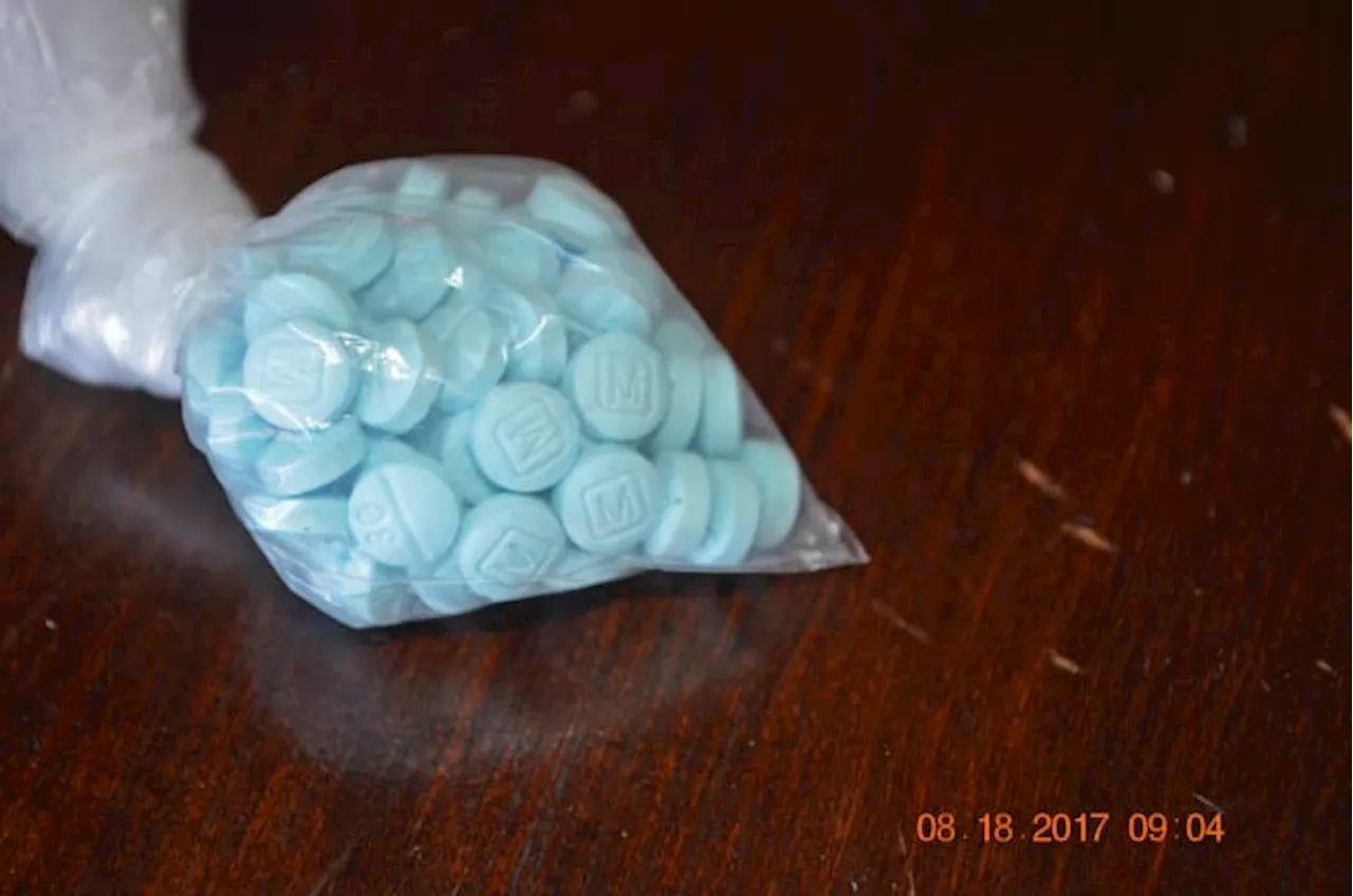 New report shows significant drop in Florida’s opioid-related deaths