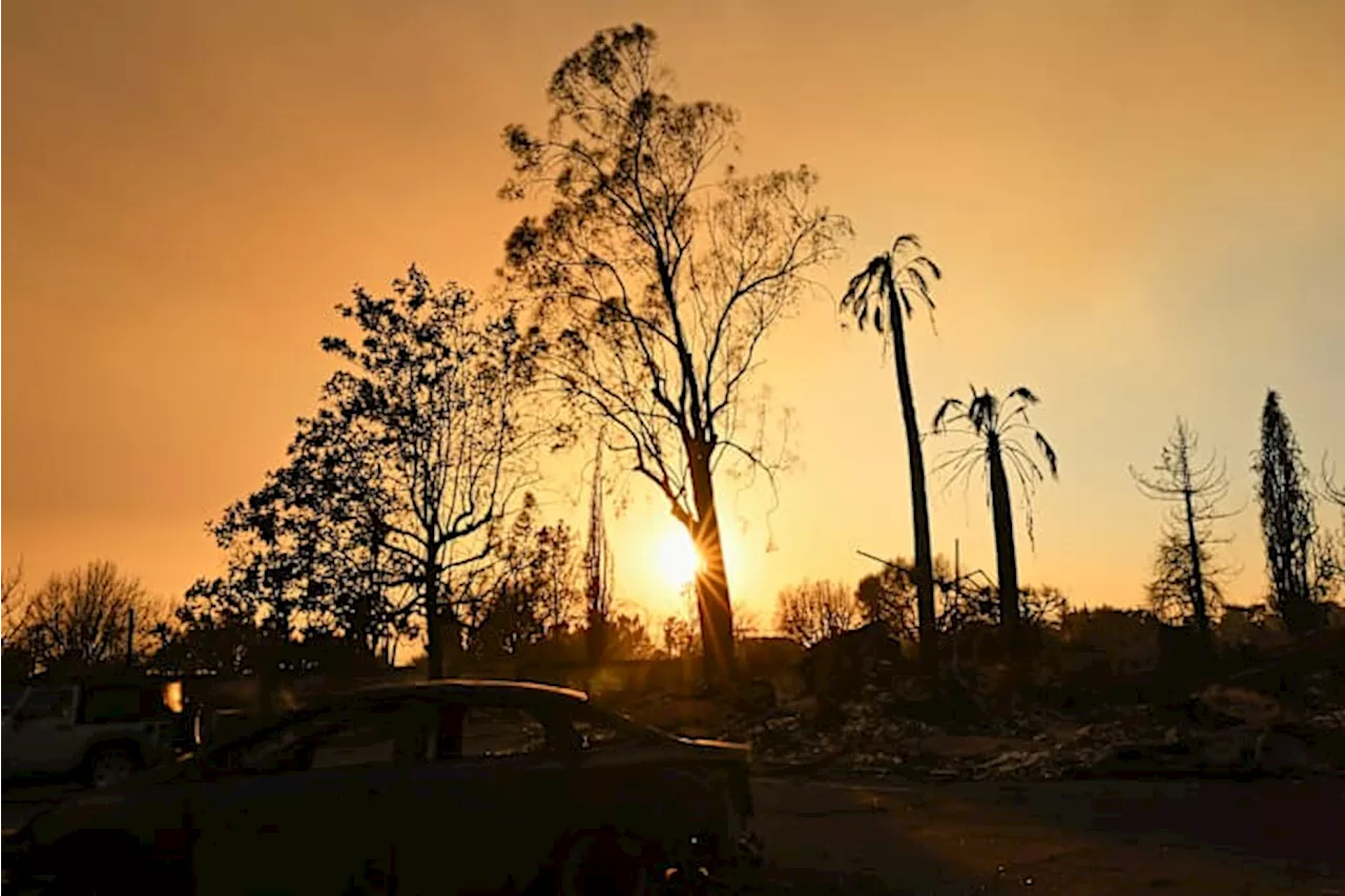 Steve Guttenberg Reflects on the Devastating Wildfires in Pacific Palisades