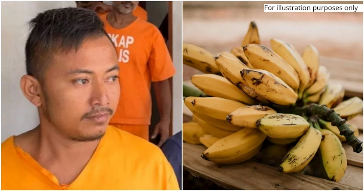 Single Father Jailed 3 Months for Stealing Bananas in Malaysia