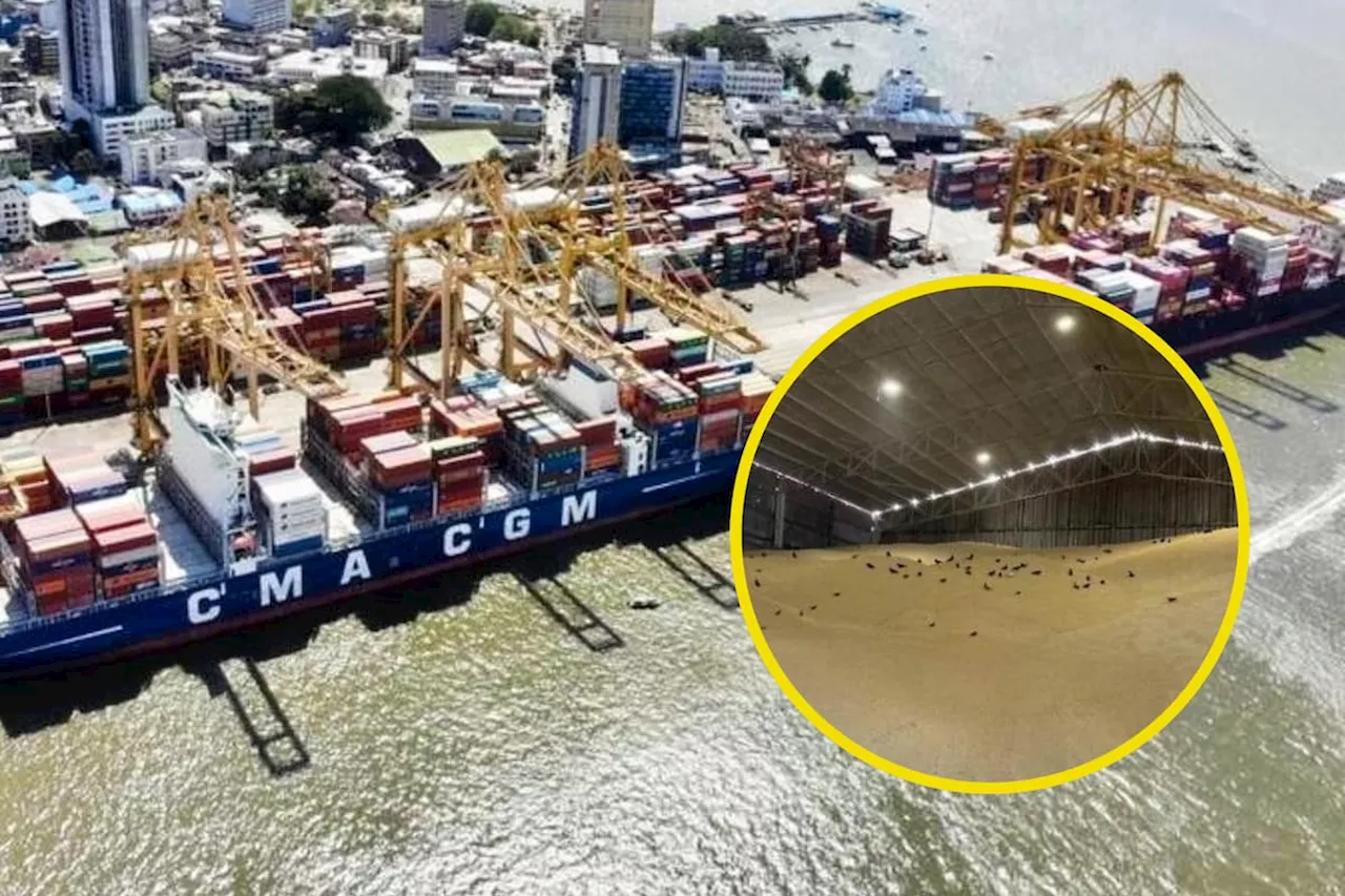 MinAmbiente advirtió insalubridad en el Muelle 13: Ventura Group la desmiente