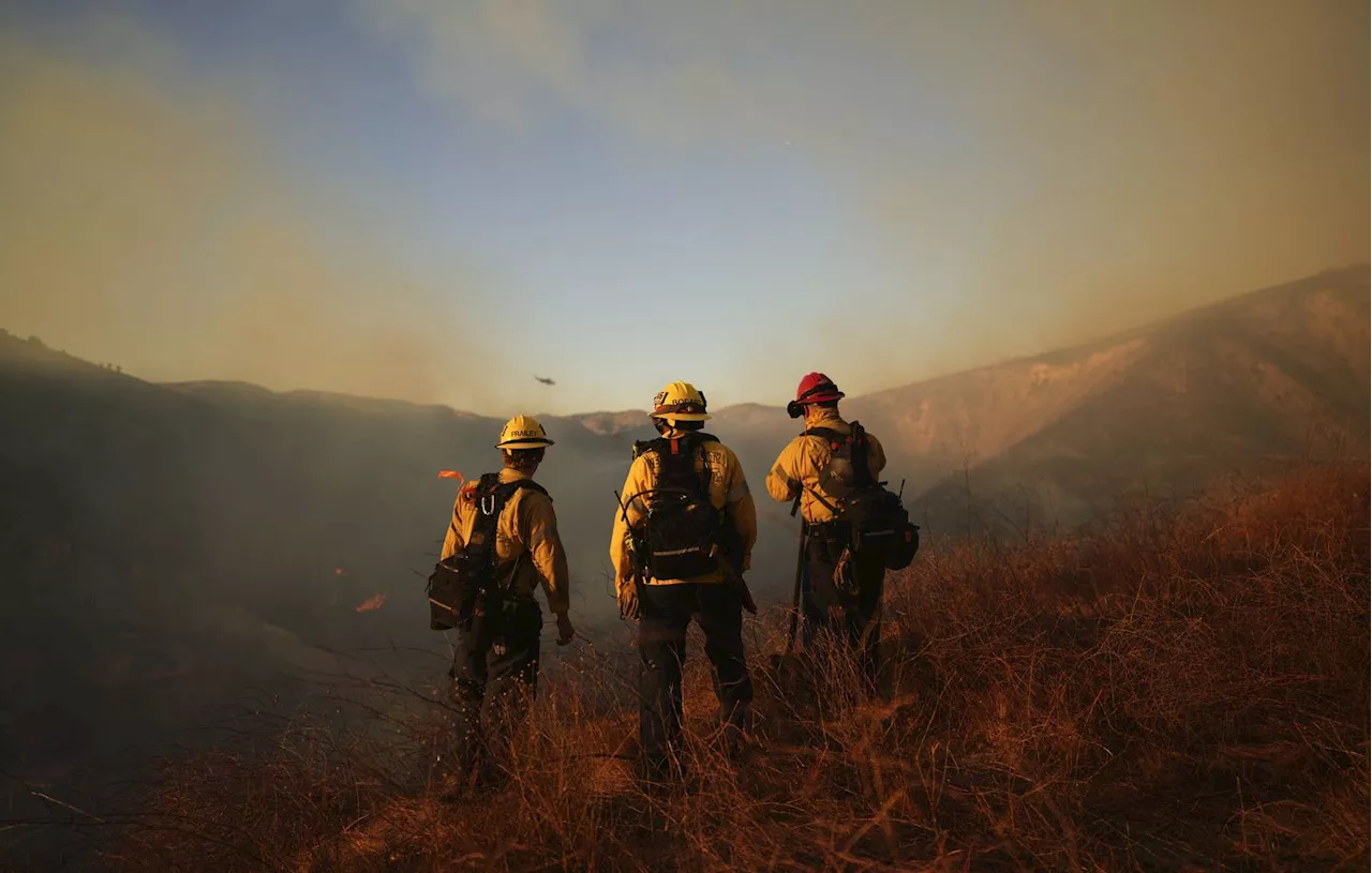 Les Incendies de Los Angeles : Quand le Service d'Incendie devient un Spectre de l'Inégalité