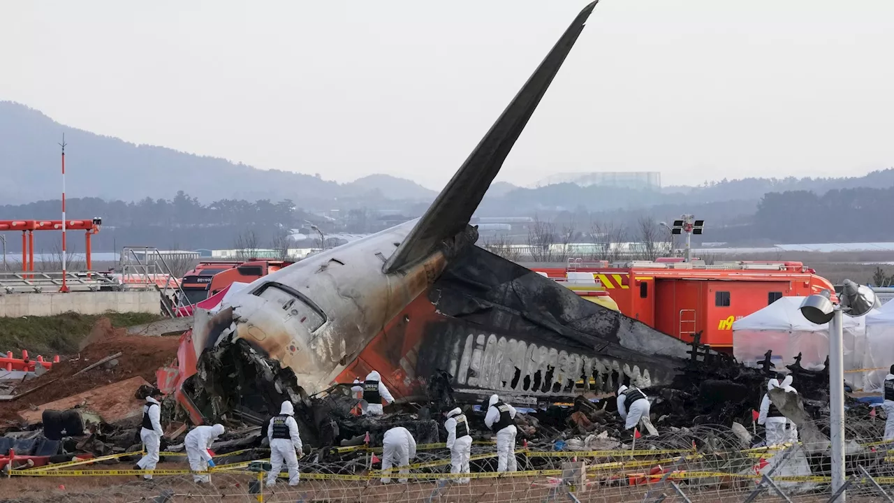 Black Boxes of Crashed South Korea Boeing Jet Stopped Recording Before Crash