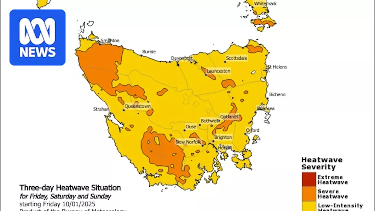 A 'severe heatwave' has been declared in Tasmania and experts warn suburbs lack resilience to warm weather