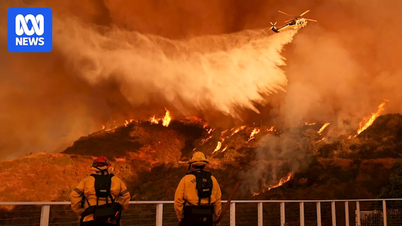 LA fires live updates: Wildfires spread in Palisades as dogs search for victims