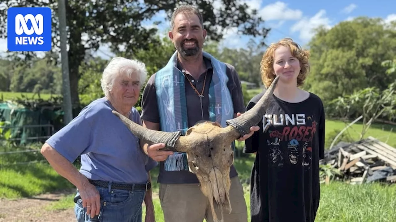 Queensland Farmer's Buffalo Skulls Provide Music for Major Art Exhibition