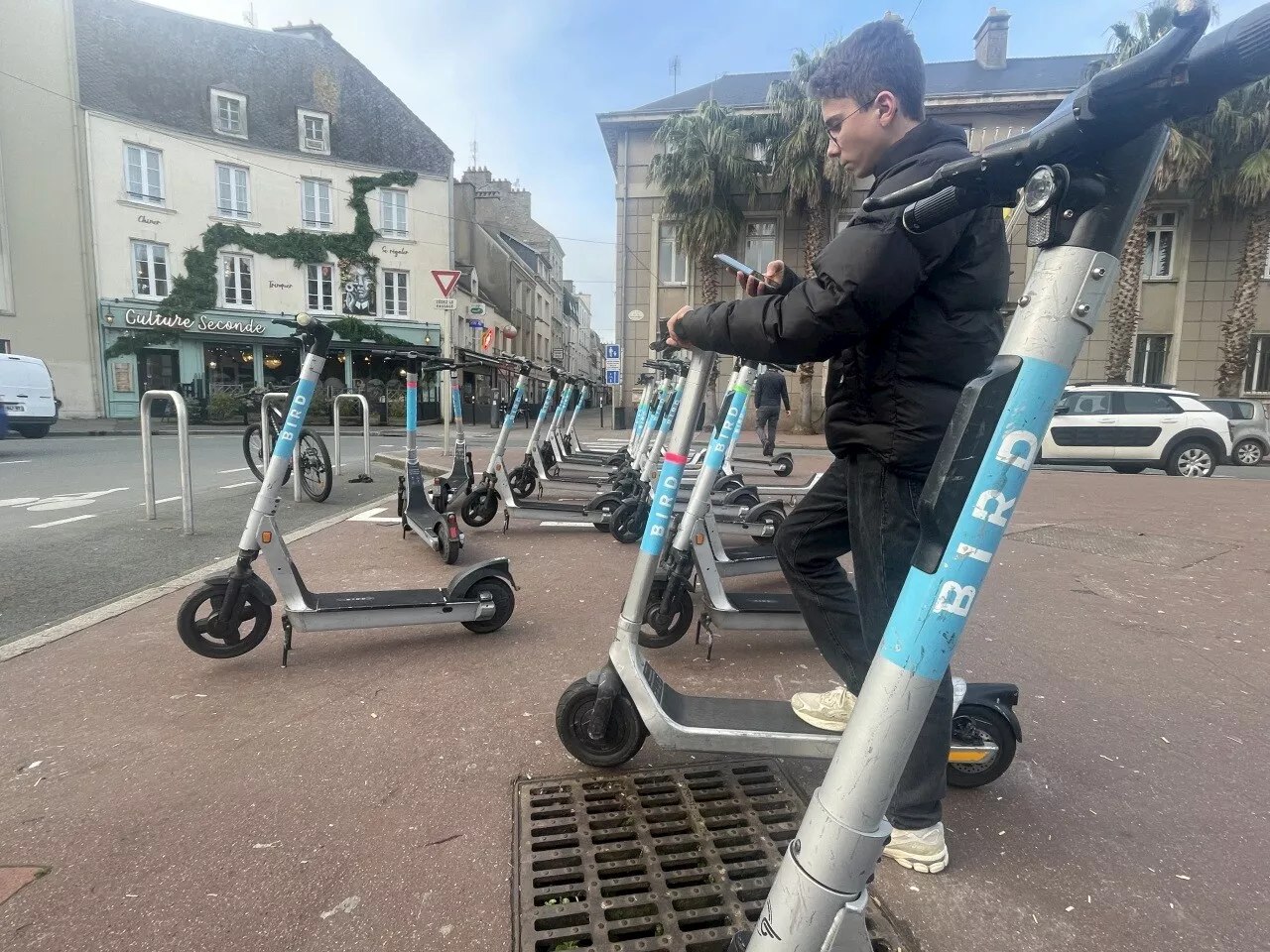 Tout roule pour les trottinettes électriques Bird à Cherbourg, moins pour les vélos qui vont disparaître