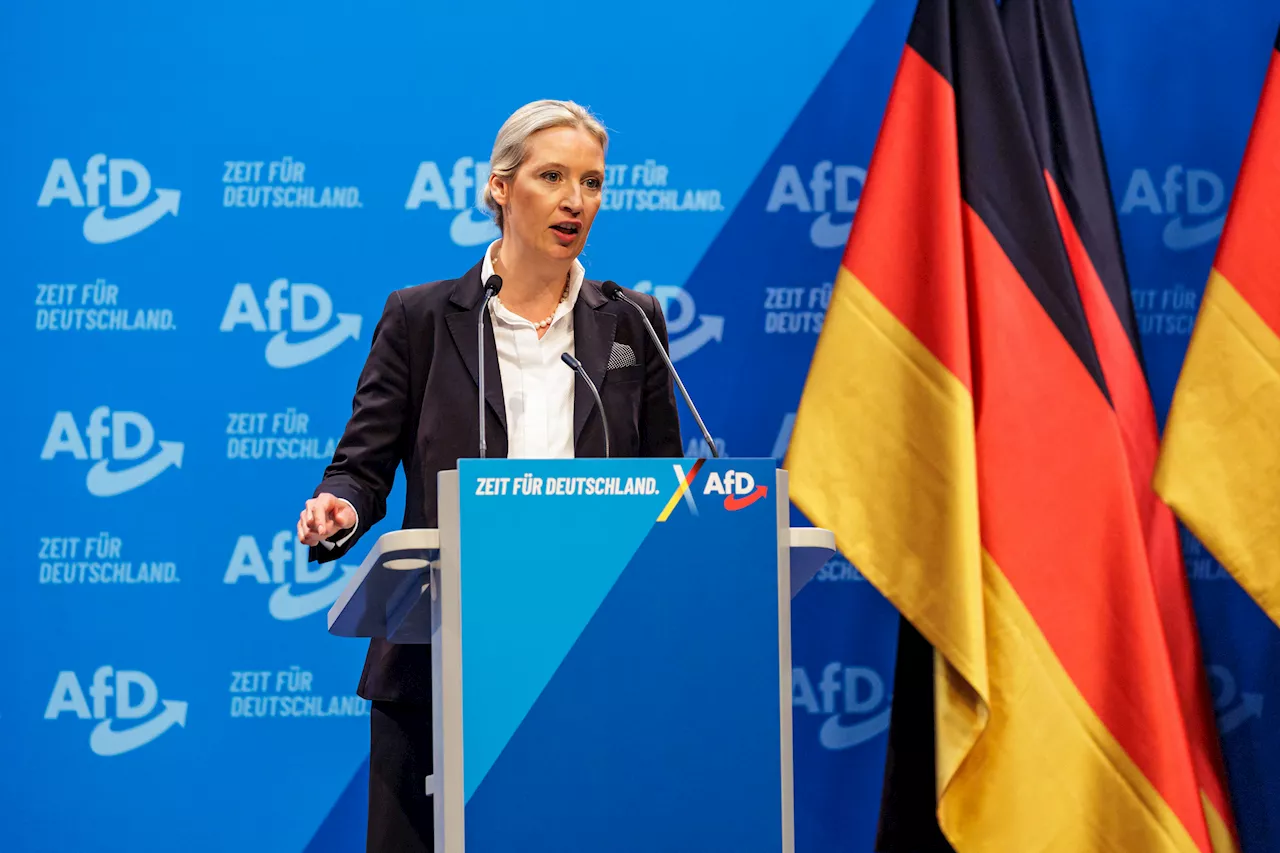 Germania, Alice Weidel candidata cancelliera Afd