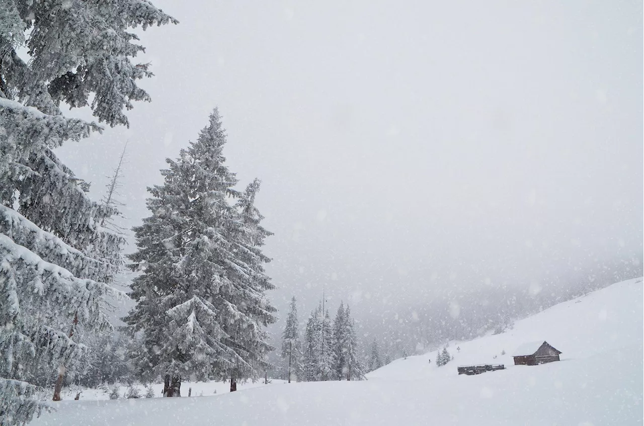 Italia al gelo, crollano le temperature e arriva la neve: il meteo