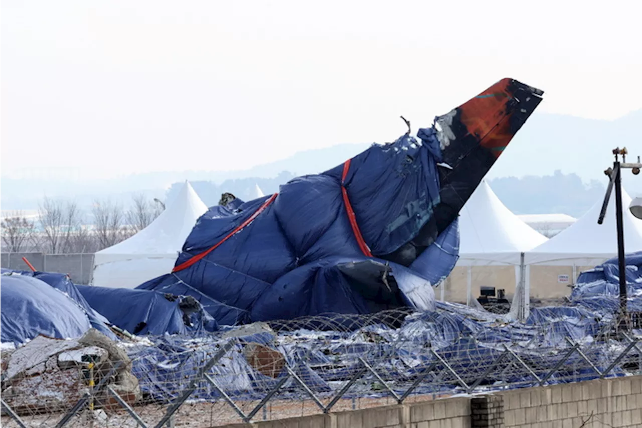 L'aereo della Jeju Air precipitato il 29 dicembre