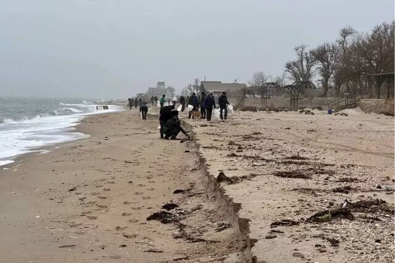 Балицкий: на Бердянской косе в Азовском море выявлено загрязнение мазутом