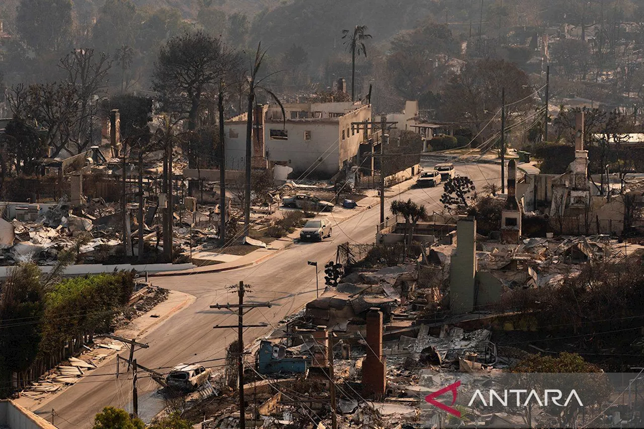 Kebakaran Pacific Palisades, Los Angeles, dipicu angin kencang hanguskan kawasan hingga 3.000 hektar