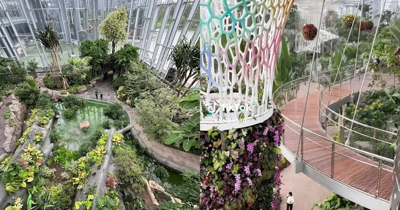 Shanghai Greenhouse Sparks Comparisons to Singapore's Gardens by the Bay