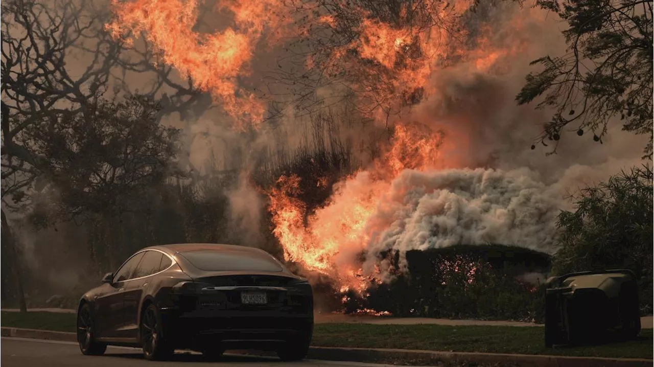 Brand in Los Angeles: Elf Menschen gestorben, 10.000 Gebäude zerstört